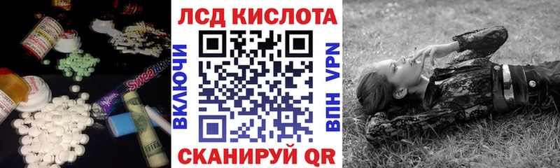 продажа наркотиков  Курчалой  МЕГА как войти  площадка телеграм  Лсд 25 экстази ecstasy 