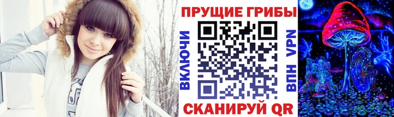 Псилоцибиновые грибы мицелий  Курчалой 